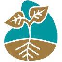 Alakainafoundation logo