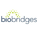BioBridges logo