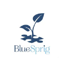 BlueSprig logo