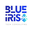 Blueiristech logo