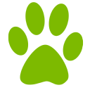 Branchvilleanimalhospital logo