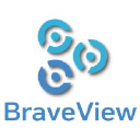 Braveview logo