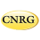 Cnrgstores logo
