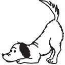 Countryvetclinic logo