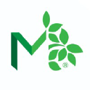 Mqshealth logo