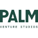 Palmventurestudios logo