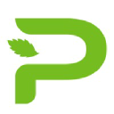 Pincanna logo