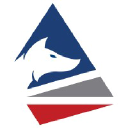 Surefox logo
