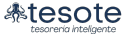 Tesote logo