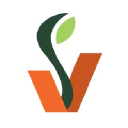 Vineskills logo