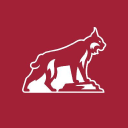 California State University-Chico Logo