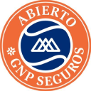 Abiertognpseguros.com logo