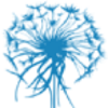 Accessconsciousness.net logo