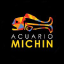Acuariomichin.com logo
