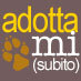 Adottamisubito.it logo