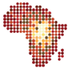 Africainonespace.org logo