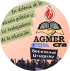 Agmeruruguay.com.ar logo