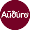 Aidigo.ru logo