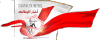 Akhbarelzamalek.com logo