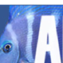 Akvarij.net logo