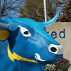 Alfredstate.edu logo