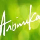 Alpika.ru logo