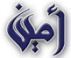 Amin.org logo