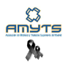 Amyts.es logo