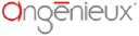 Angenieux.com logo