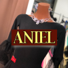 Aniel.jp logo