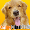 Anjingdijual.com logo