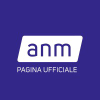 Anm.it logo