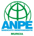 Anpe.org logo