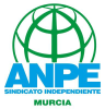 Anpe.org logo