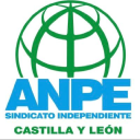 Anpecyl.com logo