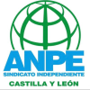 Anpecyl.com logo