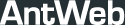 Antweb.org logo