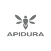 Apidura.com logo