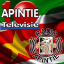 Apintie.sr logo