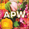 Apracticalwedding.com logo