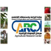 Arc.sci.eg logo