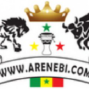 Arenebi.com logo