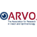 Arvo.org logo