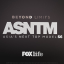 Asntm.com logo