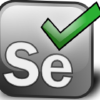 Assertselenium.com logo