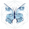 Astrobutterfly.com logo