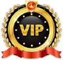 Autoradosvip.com logo