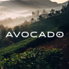 Avocadogreenmattress.com logo