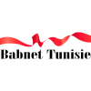 Babnet.net logo