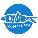 Badmanstropicalfish.com logo